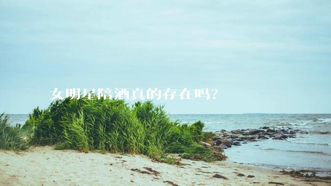 女明星陪酒真的存在吗？