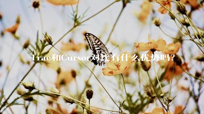 Trae和Cursor对比有什么优势吗？