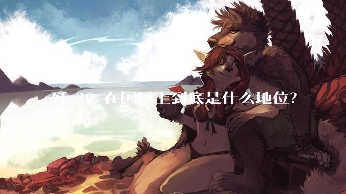 歼-20 在国际上到底是什么地位？
