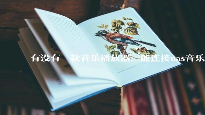 有没有一款音乐播放器，能连接nas音乐，创建音乐库，自动匹配歌词封面等等？类似infuse的概念呢？